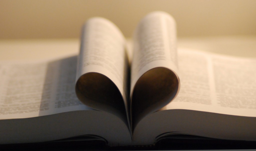 Start Marriage Right The Sacred Search Start Marriage Right start-marriage-right-the-sacred-search-start-marriage-right