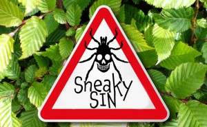 Sneaky Sin